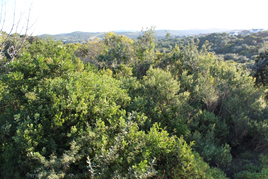 0 Bedroom Property for Sale in Kleinemonde Eastern Cape